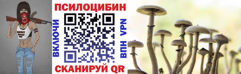 Псилоцибиновые грибы прущие грибы  Мончегорск 